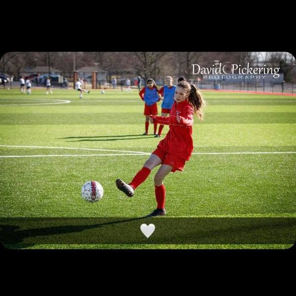 Meet your Posher, Phoebe - Picture 1 of 1